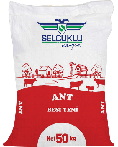 Ant Besi Yemi