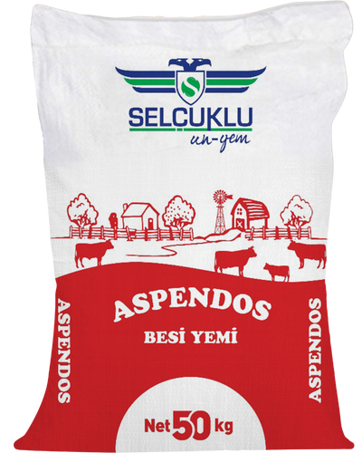 Aspendos Besi Yemi