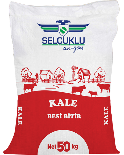 Kale Besi Yemi