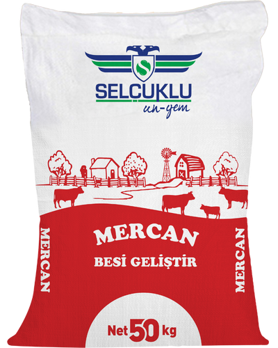 Mercan Besi Yemi